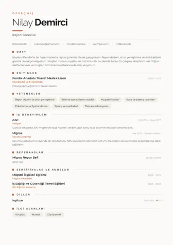 Reyon Görevlisi cv indir